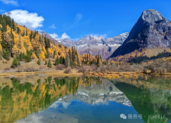 &#20061;&#28216;&#23089;&#20048;